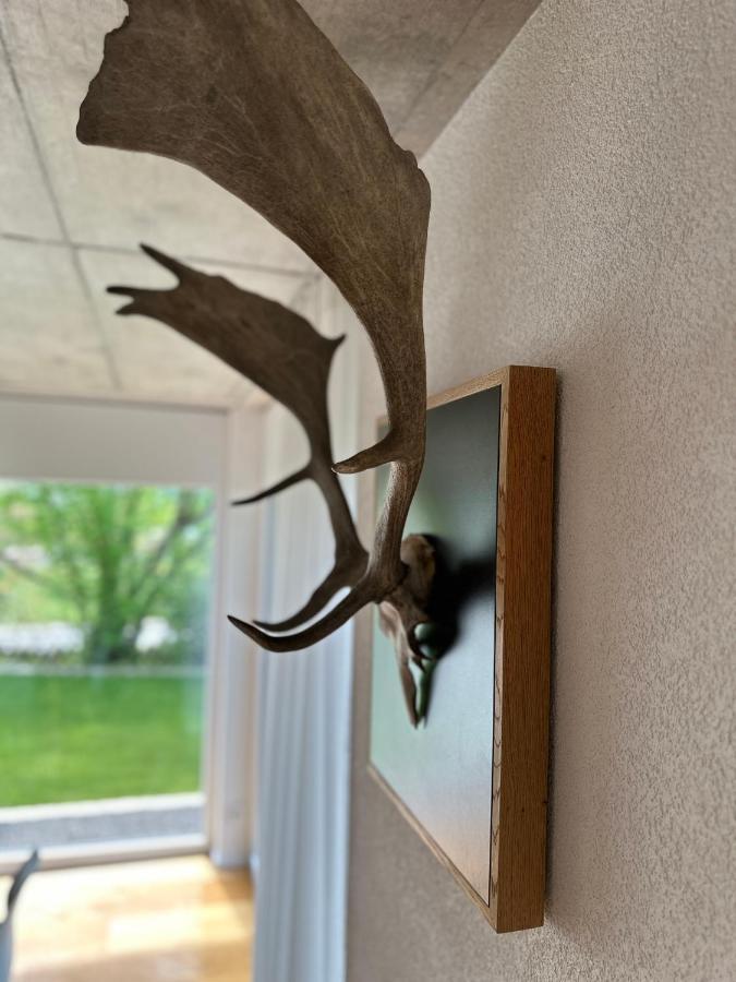 Moderne Ferienwohnung Rhenum Mit Wallbox Waldshut-Tiengen Luaran gambar