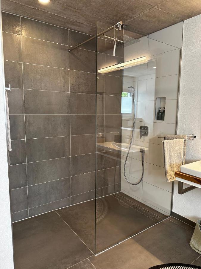 Moderne Ferienwohnung Rhenum Mit Wallbox Waldshut-Tiengen Luaran gambar
